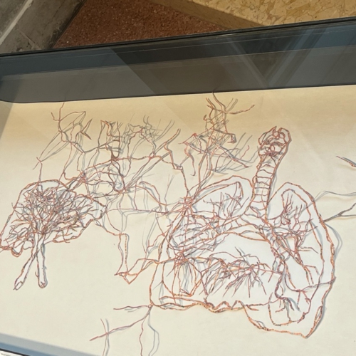 LEBER, LUNGE, Ausstellungsansicht, Museum für Kommunikaiton Berlin 2022, Papierschnitte aus Landkarten anatomie