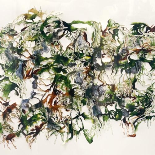 Epiphyten IV, 40x50cm, 2025, Tuschezeichnung, Shellacktusche ,Leim, Papierschnitt, 2 lagig Papierschnitt