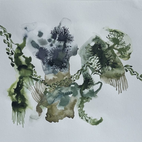 GEDANKENGEWÄCHS.1 Tuschezeichnung/ 30x40cm 2026 (verkauft) tuschezeichnung