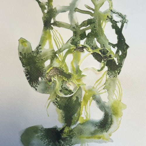 GEDANKENGEWÄCHS.17 Tuschezeichnung/Papierschnitt 20x30cm 2026 tuschezeichnung