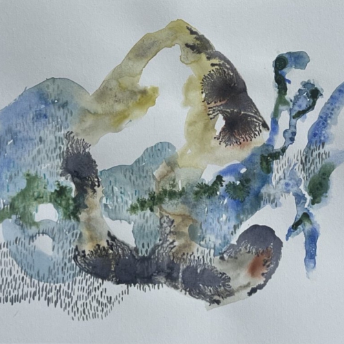 GEDANKENGEWÄCHS.2 Tuschezeichnung30x40cm 2026 (verkauft) tuschezeichnung
