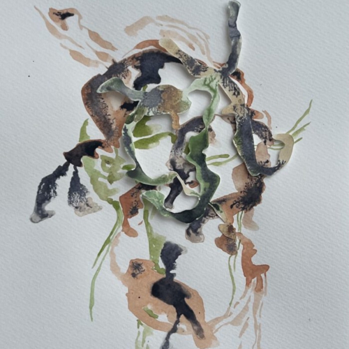 GEDANKENGEWÄCHS.22 Tuschezeichnung/Papierschnitt 20x30cm 2026 tuschezeichnung