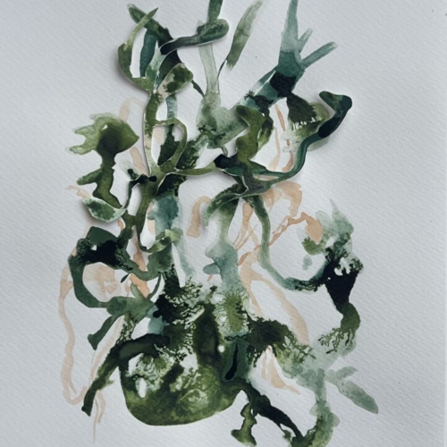 GEDANKENGEWÄCHS.23 Tuschezeichnung/Papierschnitt 20x30cm 2026 tuschezeichnung