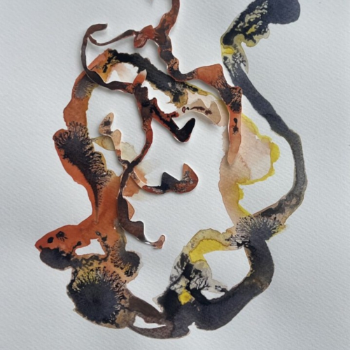 GEDANKENGEWÄCHS.25 Tuschezeichnung/Papierschnitt 20x30cm 2026 tuschezeichnung