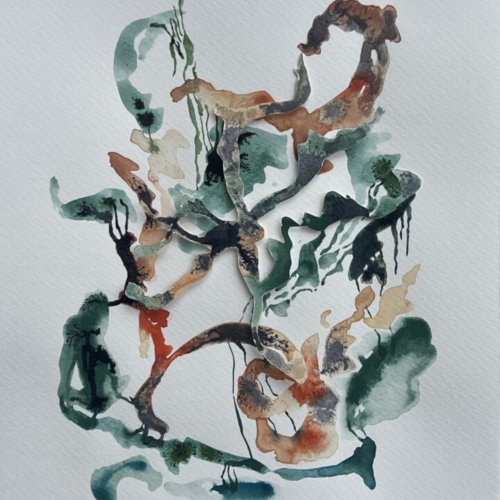 GEDANKENGEWÄCHS.26 Tuschezeichnung/Papierschnitt 20x30cm 2026 tuschezeichnung