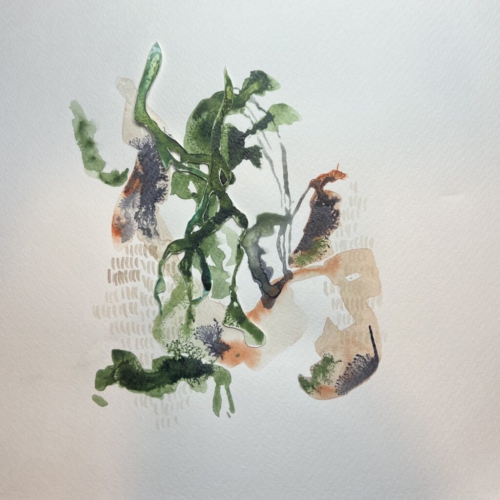 GEDANKENGEWÄCHS.27 Tuschezeichnung/Papierschnitt 25x25cm 2026 tuschezeichnung