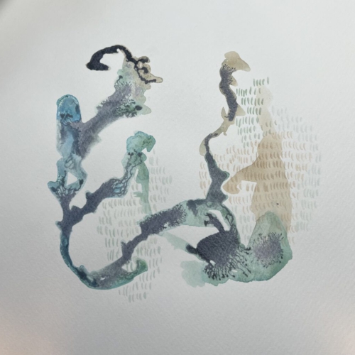 GEDANKENGEWÄCHS.29Tuschezeichnung 20x20cm 2026 tuschezeichnung