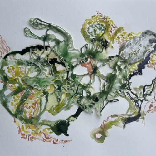 GEDANKENGEWÄCHS.4Tuschezeichnung/Papierschnitt 30x40cm 2026 (verkauft) tuschezeichnung