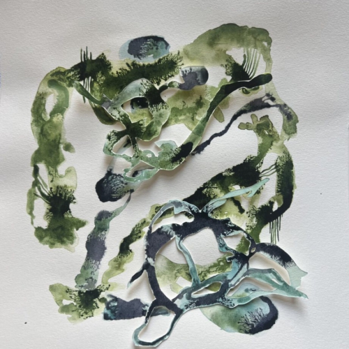 GEDANKENGEWÄCHS.5 Tuschezeichnung/Papierschnitt 30x30cm 2026 tuschezeichnung