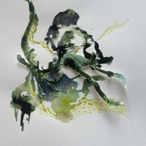 GEDANKENGEWÄCHS.6 Tuschezeichnung/Papierschnitt 30x30cm 2026 tuschezeichnung