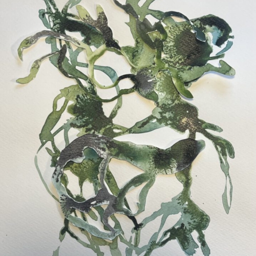 GEDANKENGEWÄCHS.8 Tuschezeichnung/Papierschnitt 20x30cm 2026 tuschezeichnung