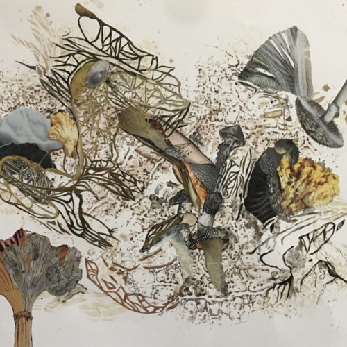 PILZWELTEN gelb, 50x70cm Collage, Zeichnung, Monotypie, 2022 PILZE