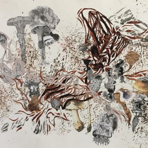 Pilzwelten, 50x70cm Collage, Zeichnung, Monotypie, 2022 PILZE
