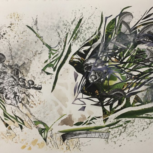 Pilze grün, 30x40cm, Collage, Zeichnung, Monotypiel 2022 PILZE