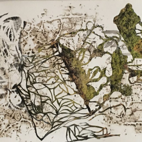 Mykorrhizza, 30x40cm Collage, Monotypiel,2022 PILZE