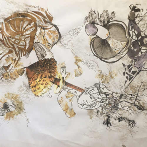 In die Pilze, 30x40cm, Collage, Zeichnung, Monotypie, 2022 PILZE