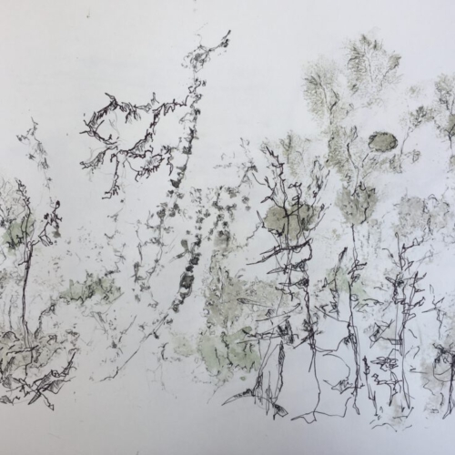 Kartografie des NAheliegenden VI 42x30cm/2023 Zeichnung/Monotypie Zeichnung