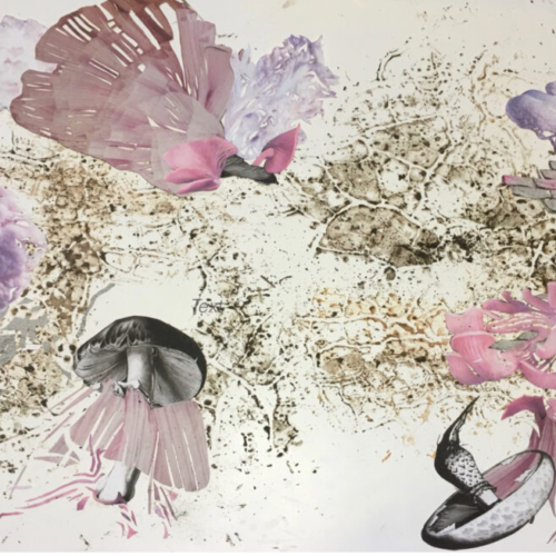 PILZPLISSEE, 40x55cm Collage, Monotypie/Abdruck Erde, 2022 PILZE
