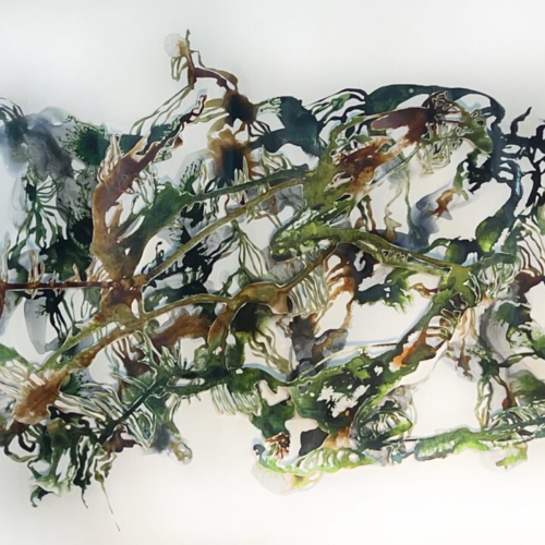Epiphyten III, 40x50cm, 2025, Tuschezeichnung, Shellacktusche ,Leim, Papierschnitt, 2 lagig Papierschnitt