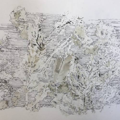 Kartografie des Naheliegenden IX, 42x30cm/2023 Zeichnung/Monotypie Zeichnung