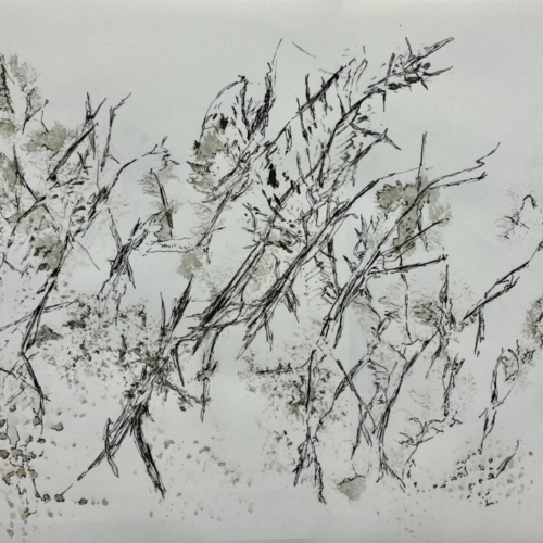 Kartografie des Naheliegenden IIX 30x42cm/2023 Zeichnung/Monotypie Zeichnung